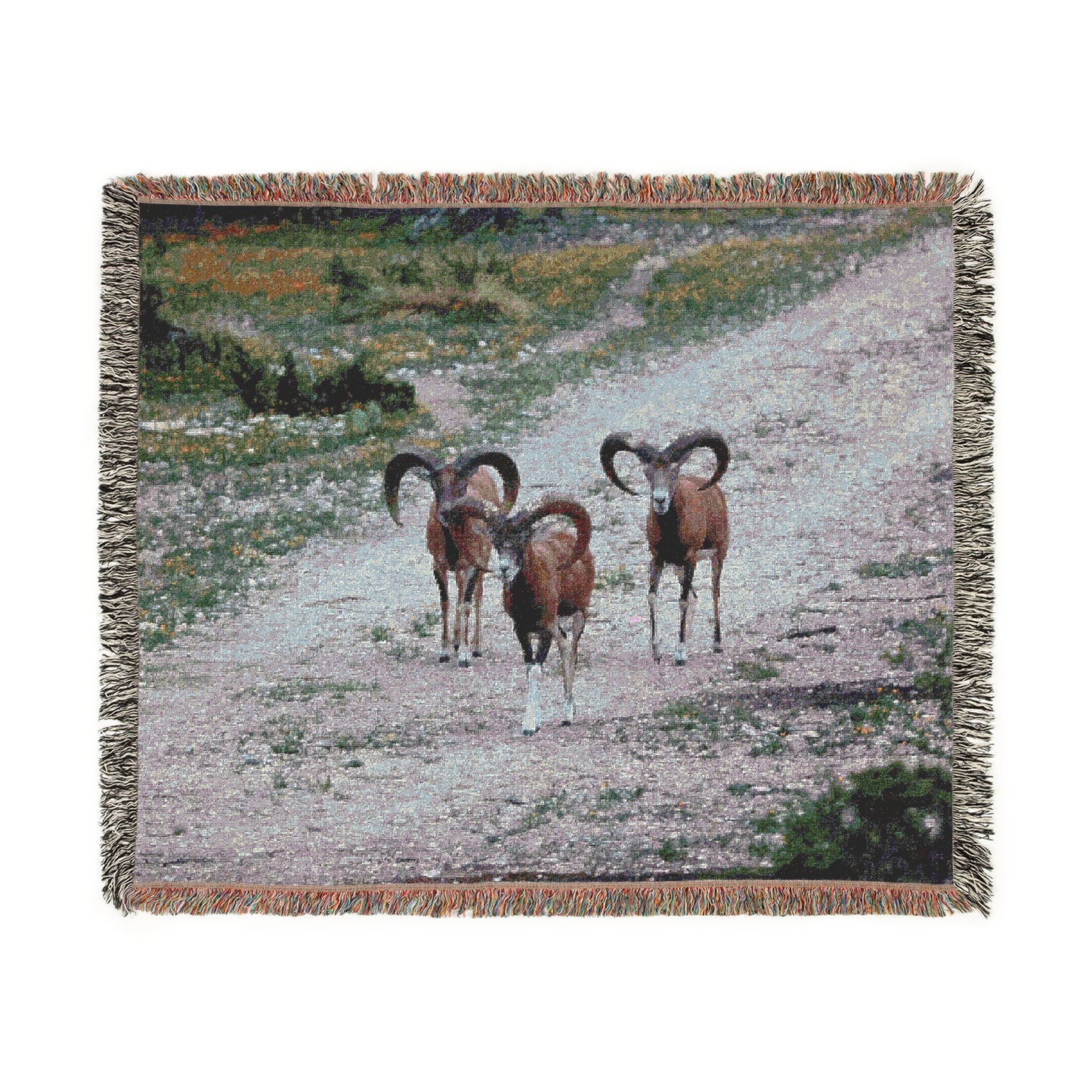 Copy of El Rancho Red Sheep Woven Blanket