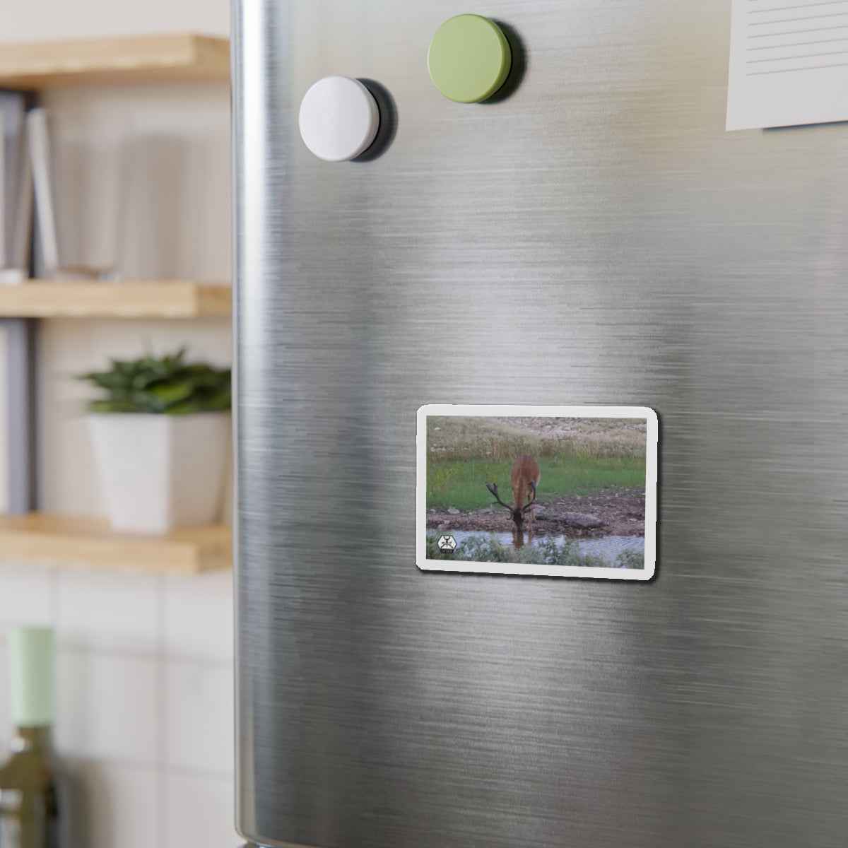 Personalized El Rancho Die-Cut Magnets