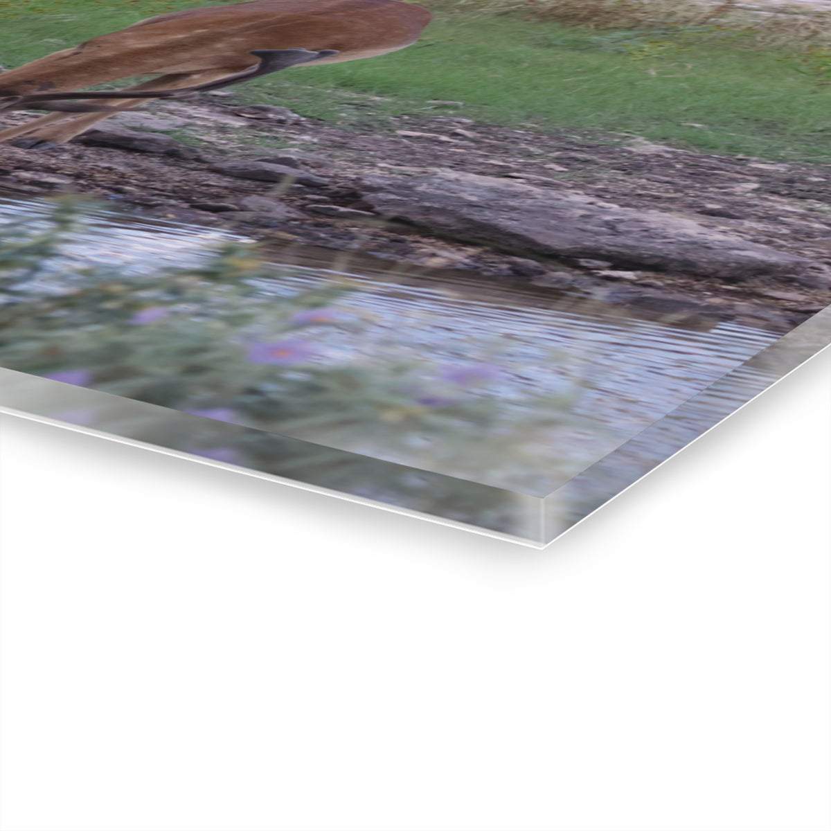 Personalized El Rancho Acrylic Prints (French Cleat Hanging)
