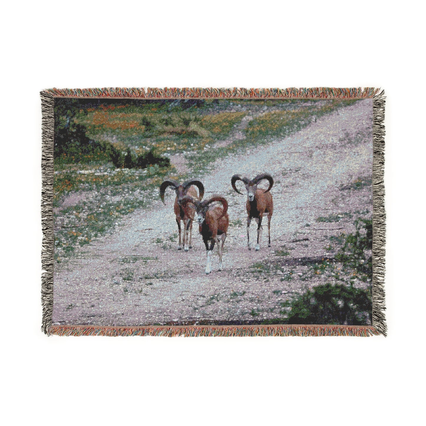 Copy of El Rancho Red Sheep Woven Blanket