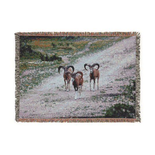 Copy of El Rancho Red Sheep Woven Blanket