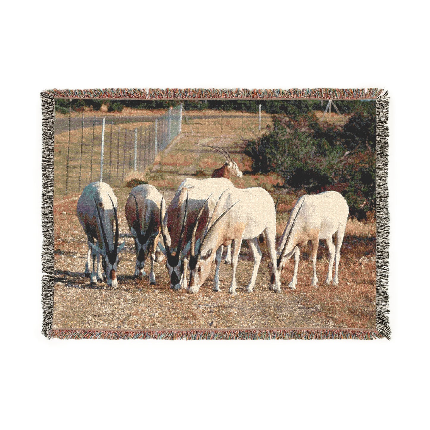 El Rancho Oryx Woven Blanket