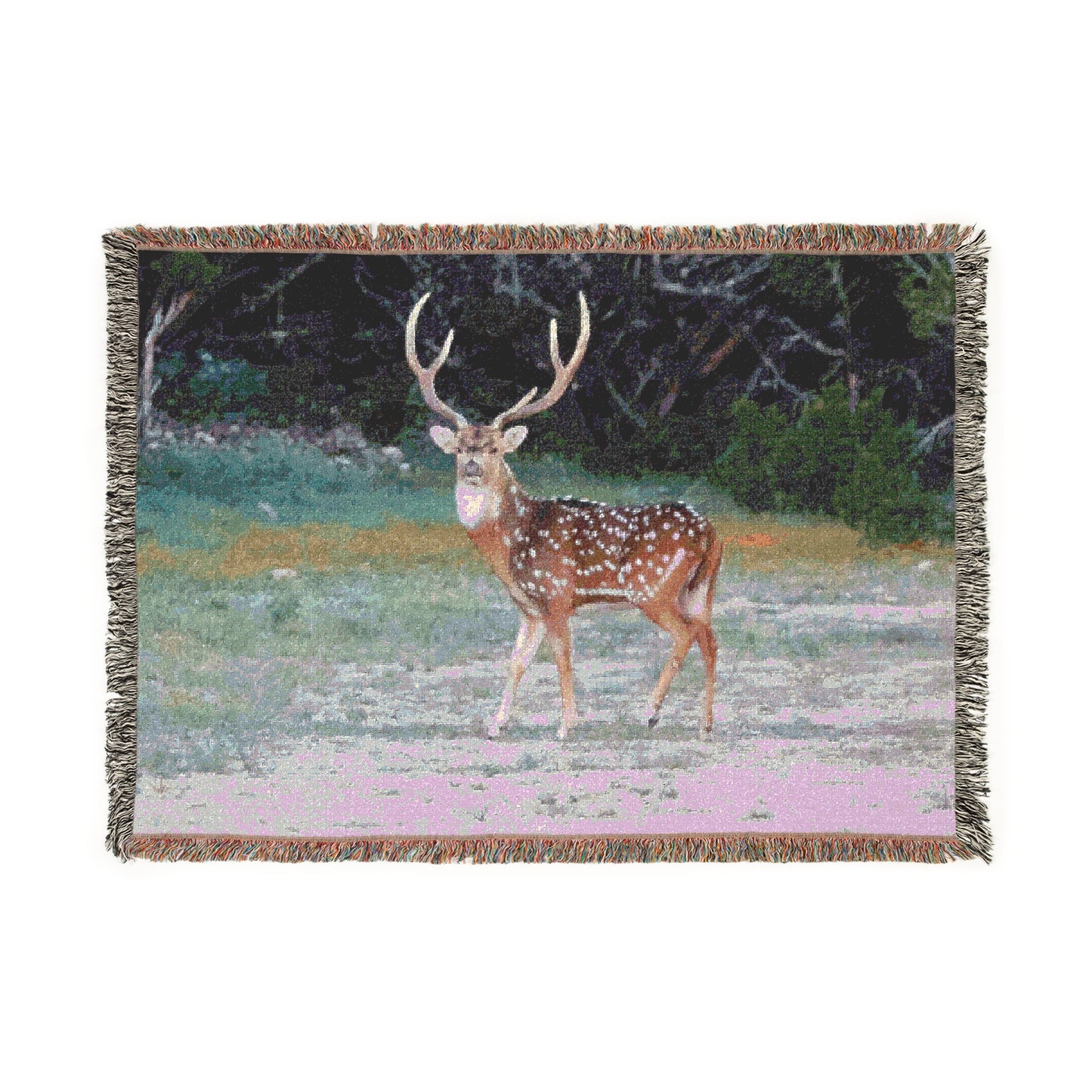 El Rancho Axis Woven Blanket