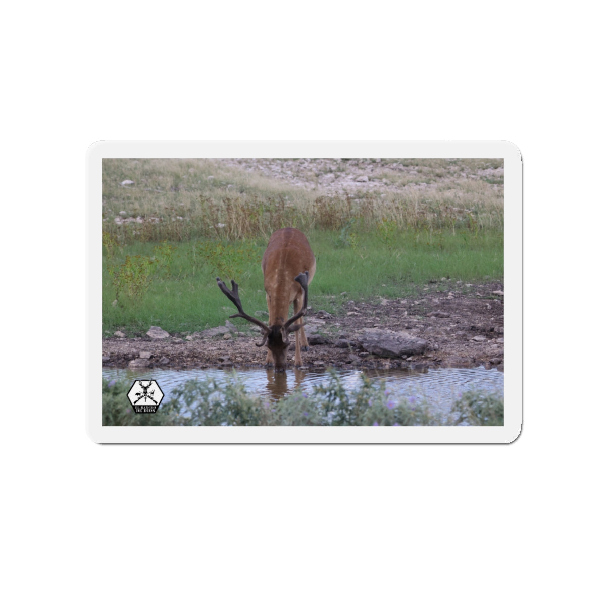 Personalized El Rancho Die-Cut Magnets