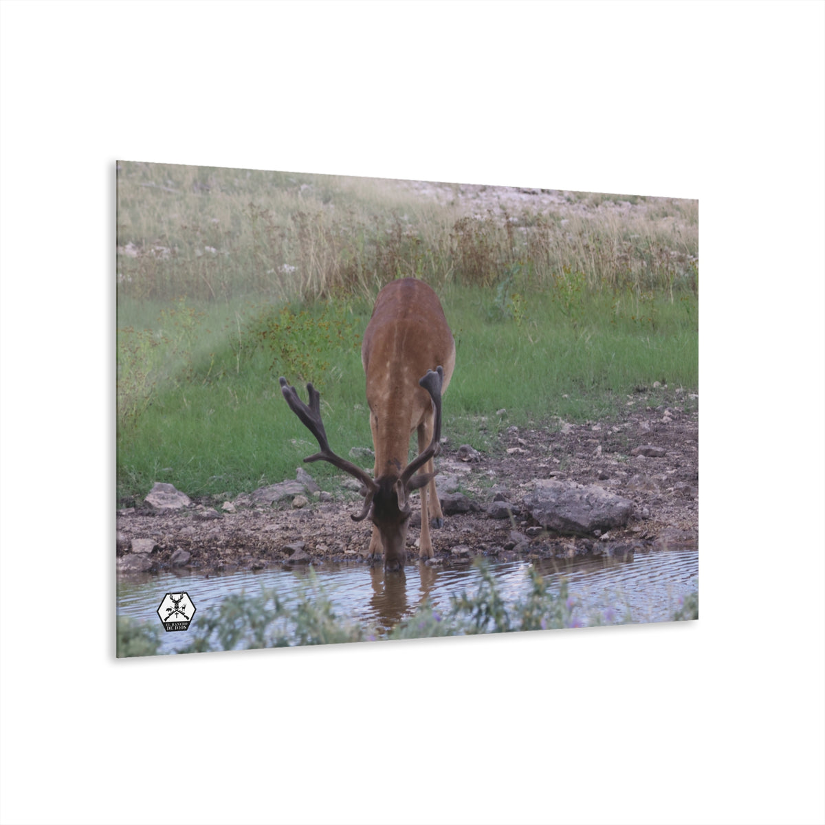Personalized El Rancho Acrylic Prints (French Cleat Hanging)