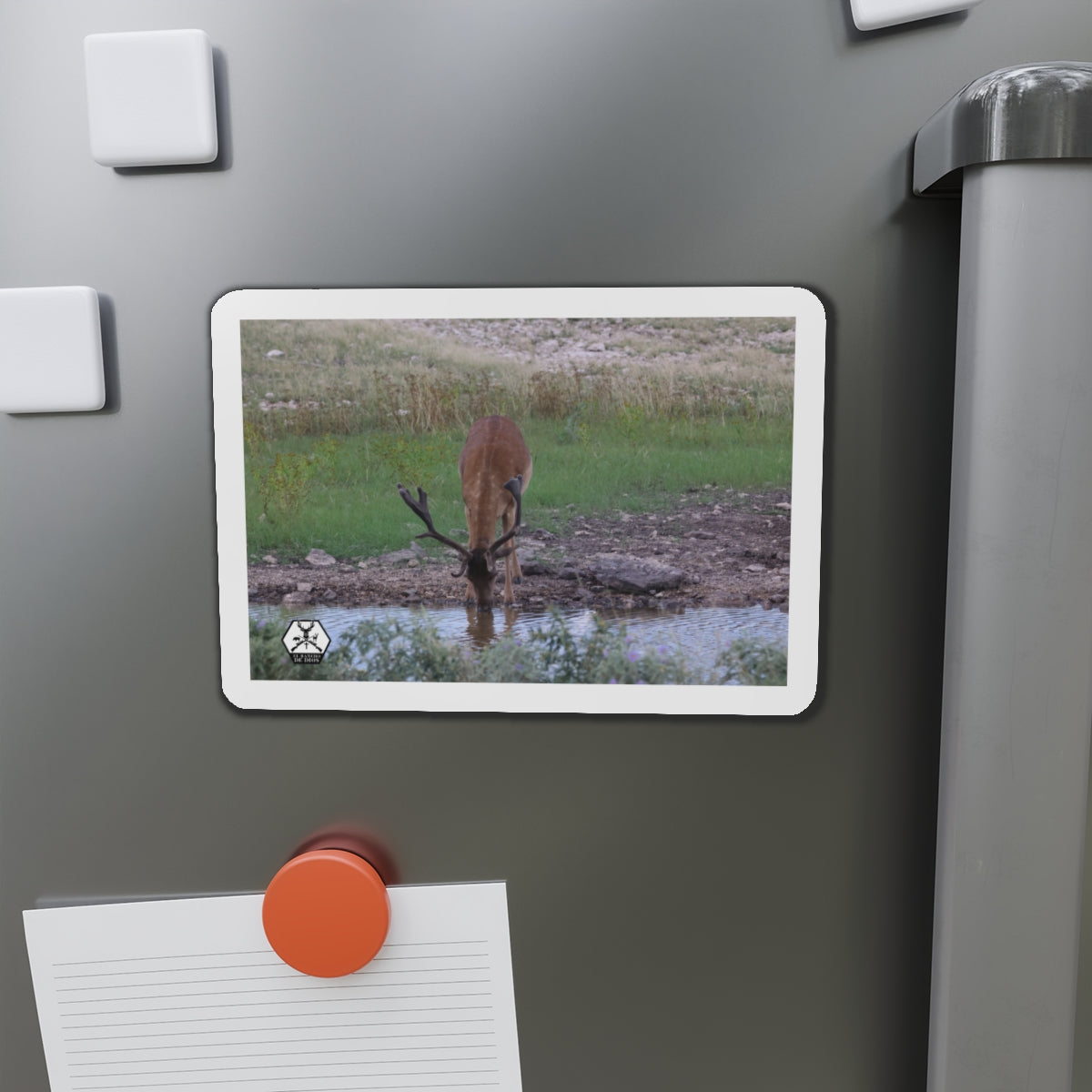 Personalized El Rancho Die-Cut Magnets