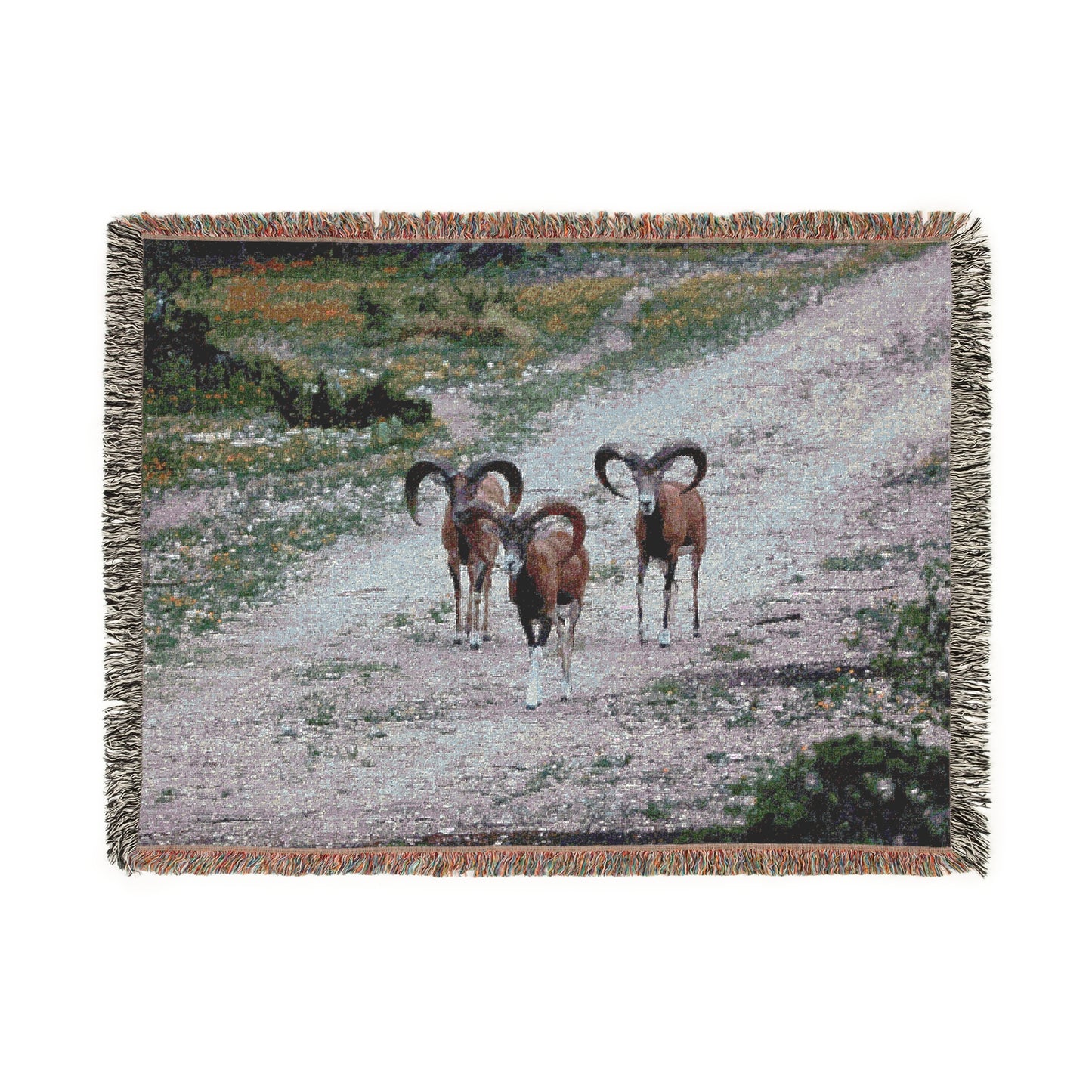 Copy of El Rancho Red Sheep Woven Blanket