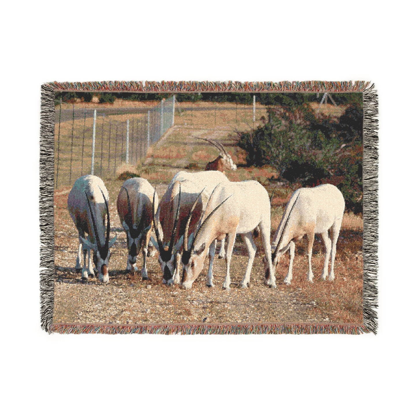 El Rancho Oryx Woven Blanket