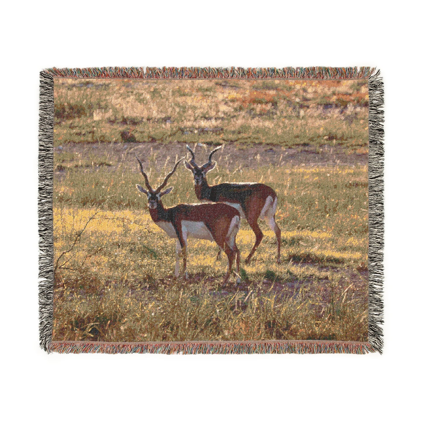 El Rancho Black Buck Woven Blanket