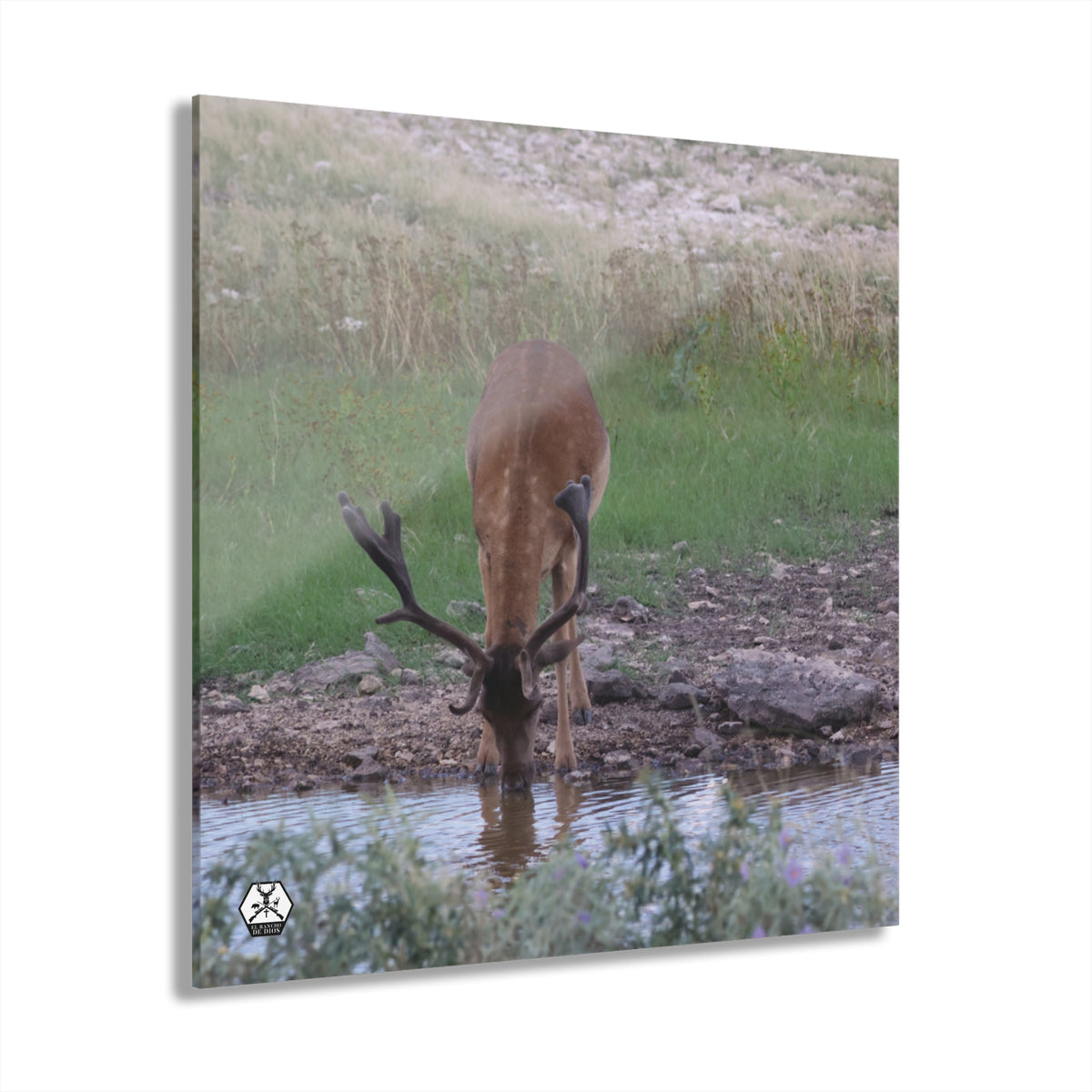Personalized El Rancho Acrylic Prints (French Cleat Hanging)
